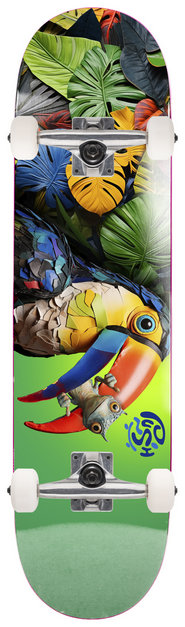 Skateboard Push Toucan FP Green Complete - 8.0" / Jual Fullset Push Skateboard