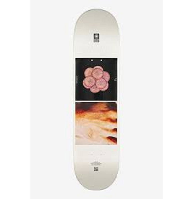 Globe x Eames Powers of Ten 8.25" Deck - Inward / Jual Globe Papan Skateboard