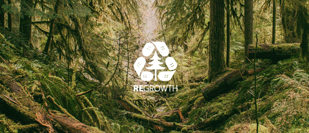 Globe Announce ReGrowth Program With The Aim To Offset Timber Use