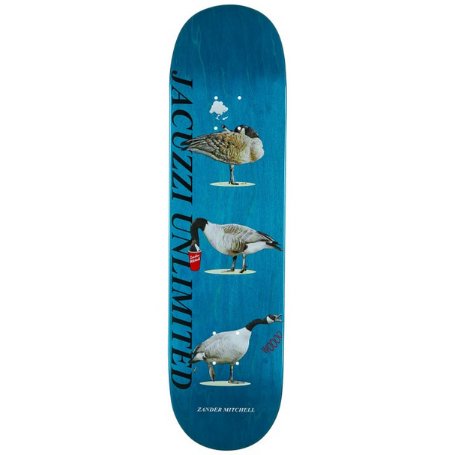 Skateboard Deck Jacuzzi Zander Mitchell - Geese 8.25" / Papan Skateboard Jacuzzi